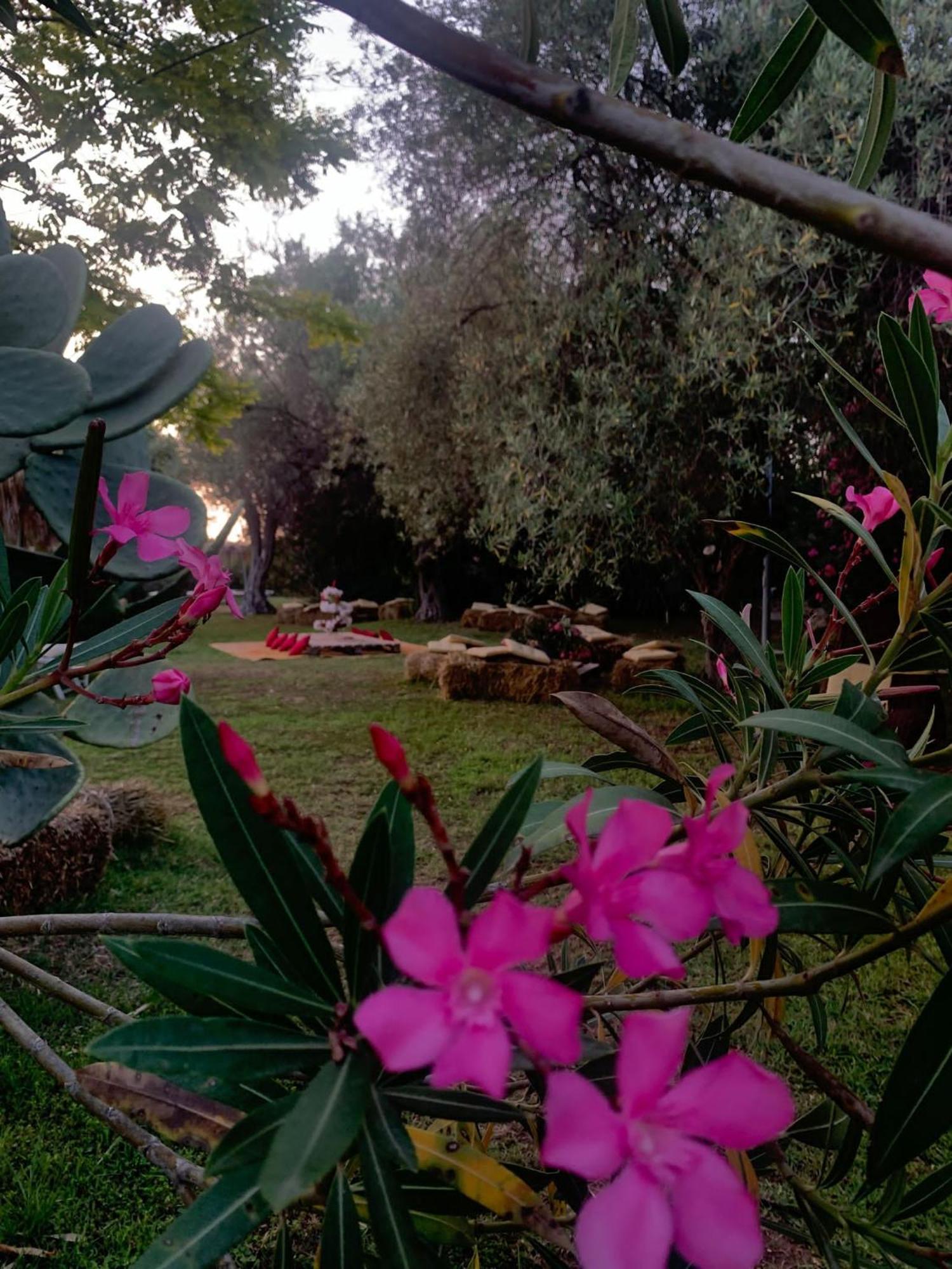 Valle Di Mare Country Resort Fontane Bianche Exterior photo