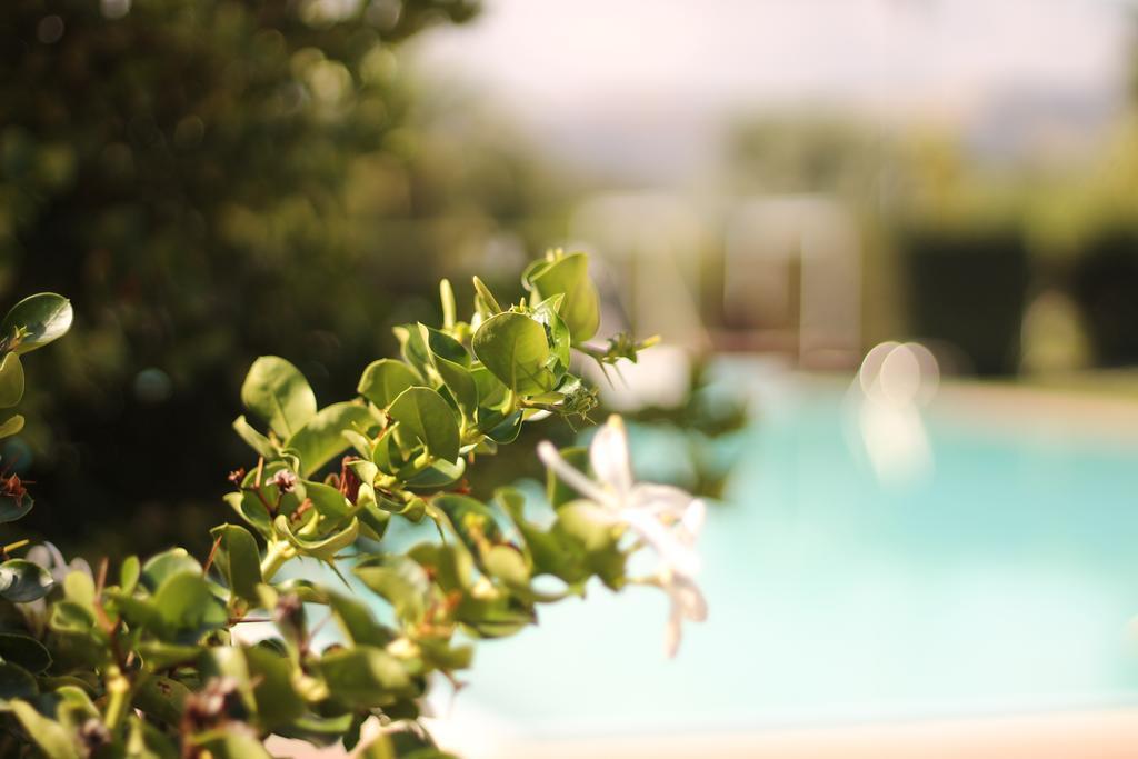 Valle Di Mare Country Resort Fontane Bianche Exterior photo