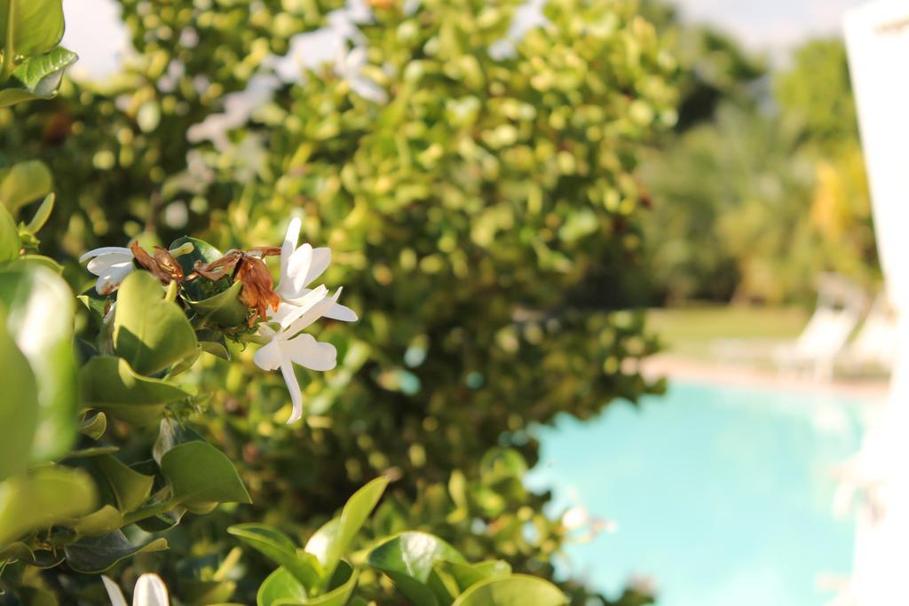 Valle Di Mare Country Resort Fontane Bianche Exterior photo